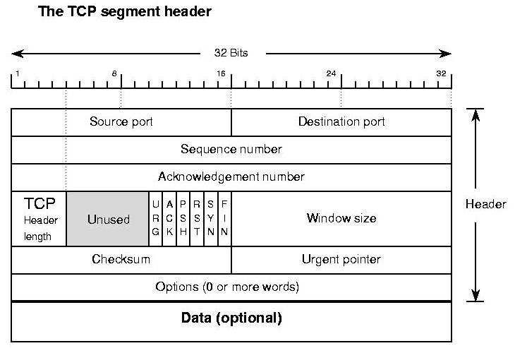 TCP header