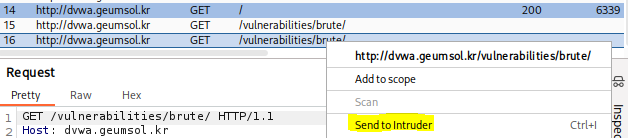 Send to Intruder