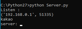 Server.py 실행