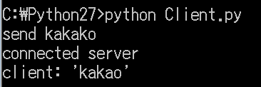 Client.py 실행