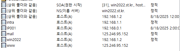 DNS 설정