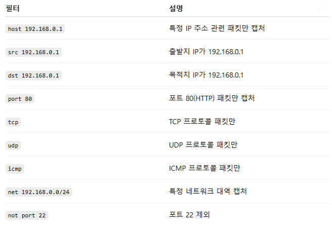 tcpdump manual 2